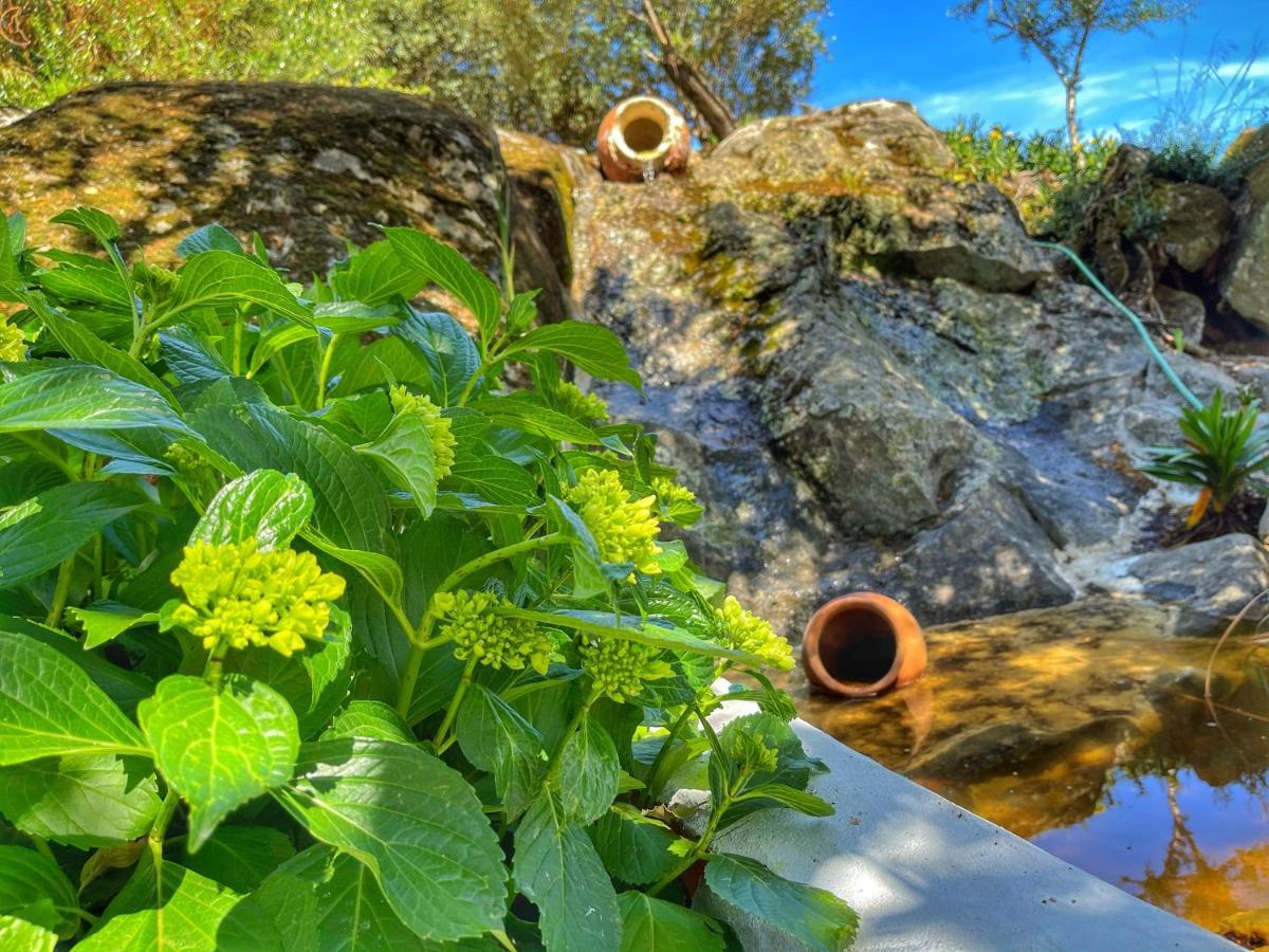 Casa Rico Frade Garden Hotel São Pedro do Corval Екстериор снимка